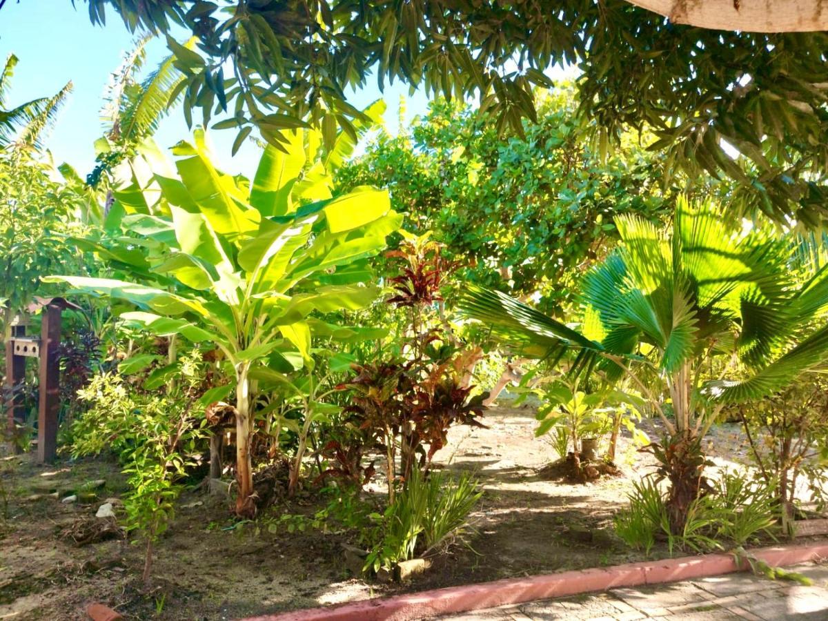 Вилла Branca Tropical Brasil Residencial- Taperapuan Порту-Сегуру Экстерьер фото